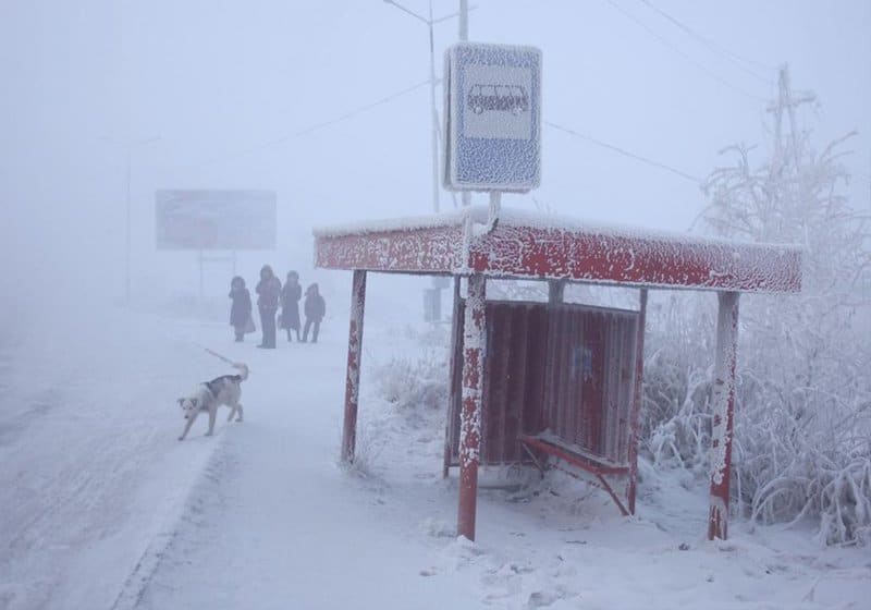 Surprising Cold Front: how they live in Oymyakon – one of the coldest inhabited places on Earth…