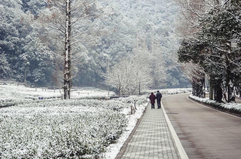 Hangzhou, Surrounded By Green Tea Fields, Is Also China’s Silicon Valley