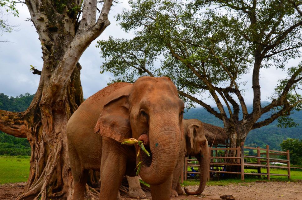 First Time in Chiang Mai – How I Experienced the Perfect Getaway
