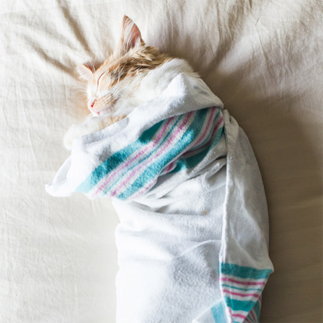 Couple Captures Their Baby’s Amazing First Moments