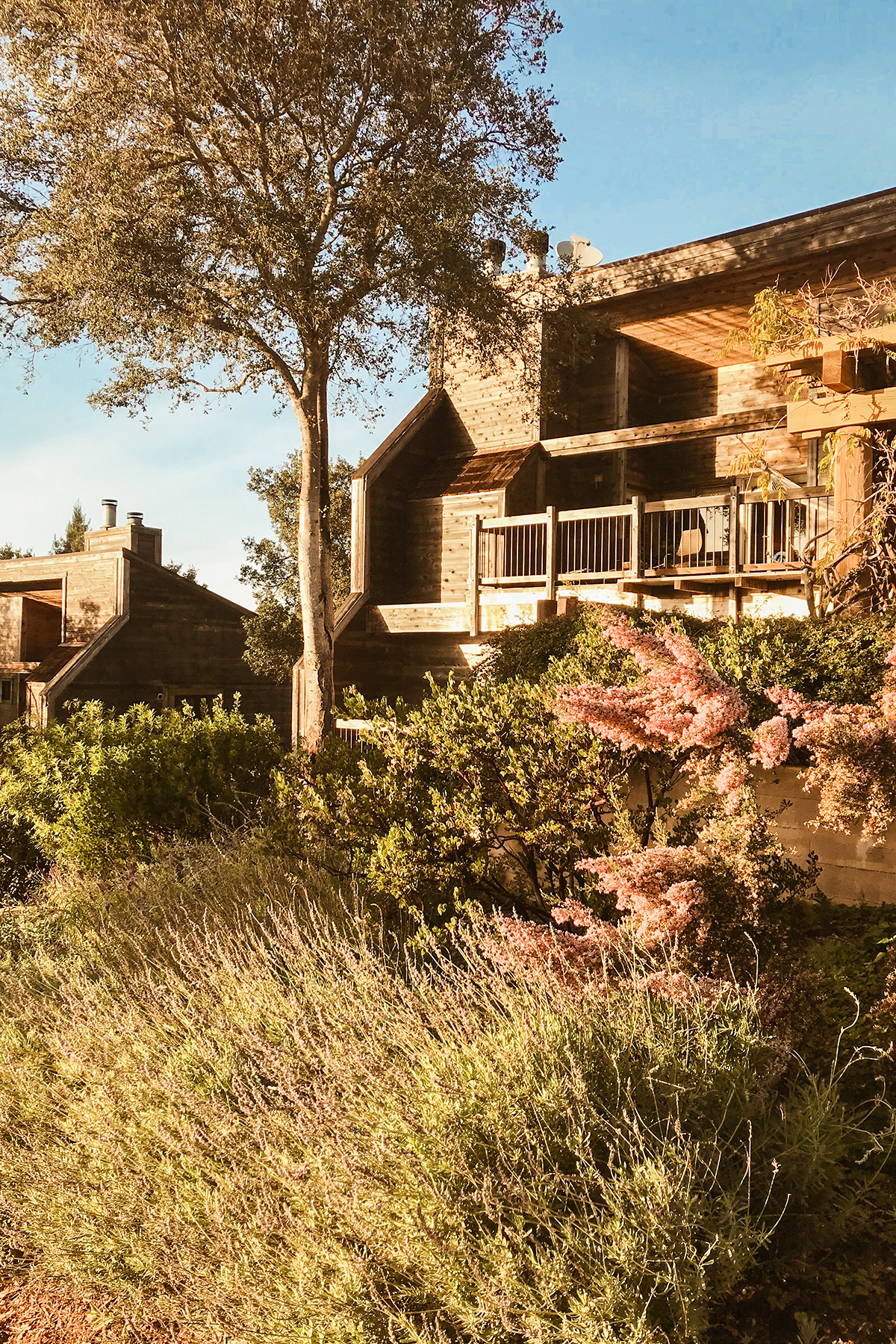 Visiting Big Sur