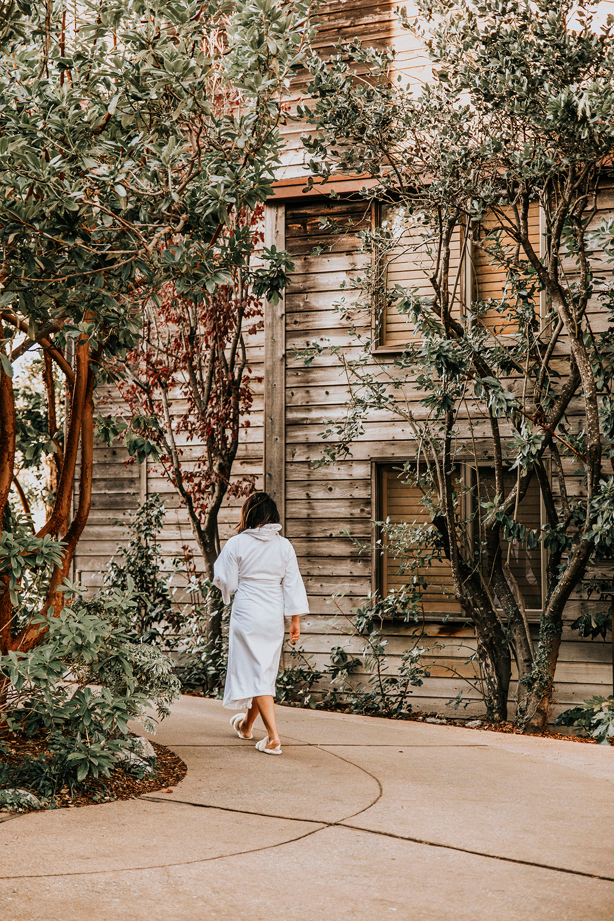 Visiting Big Sur