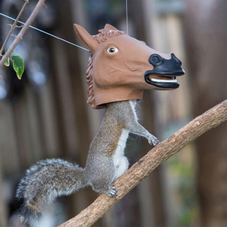 Horse head squirrel feeder