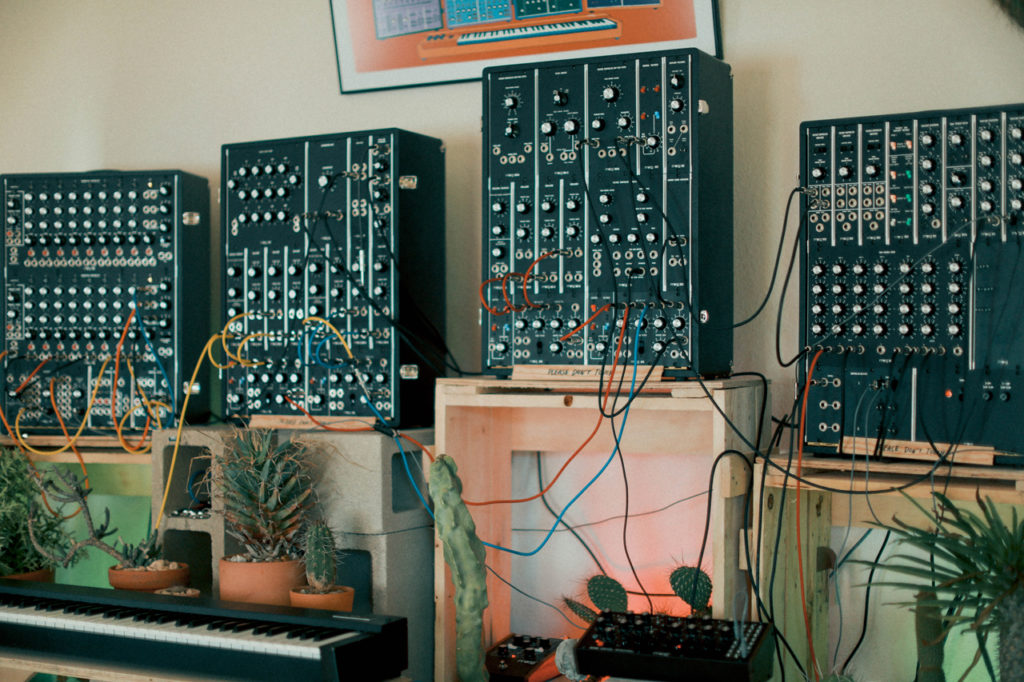 Moog’s cactus-powered synth and other highlights from its House of Electronicus
