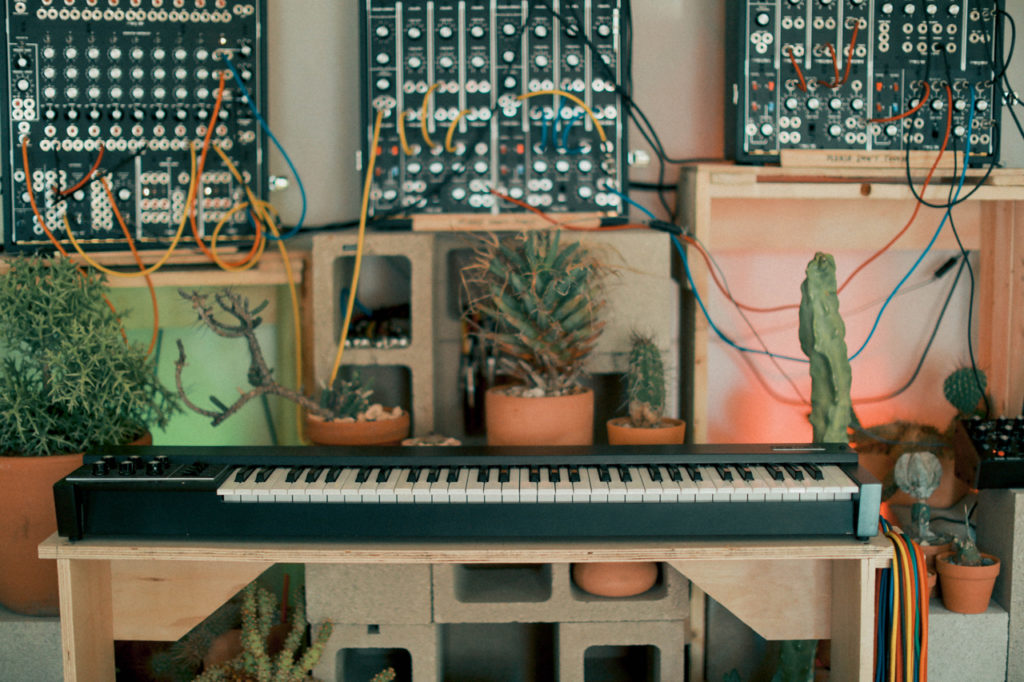 Moog’s cactus-powered synth and other highlights from its House of Electronicus