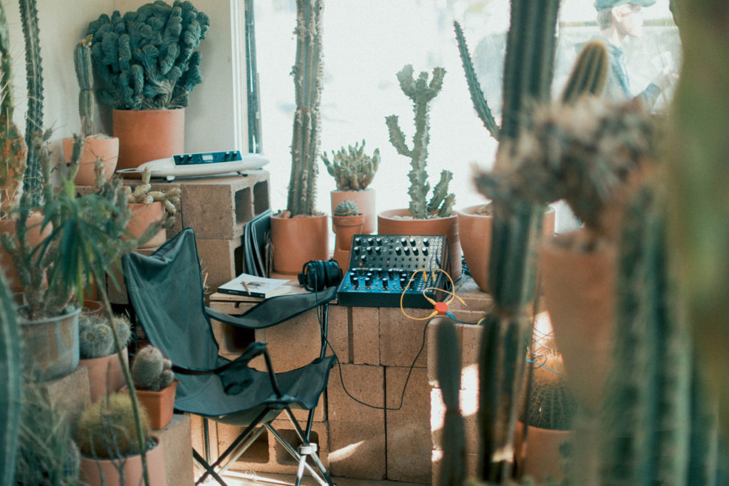 Moog’s cactus-powered synth and other highlights from its House of Electronicus