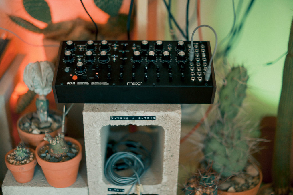 Moog’s cactus-powered synth and other highlights from its House of Electronicus