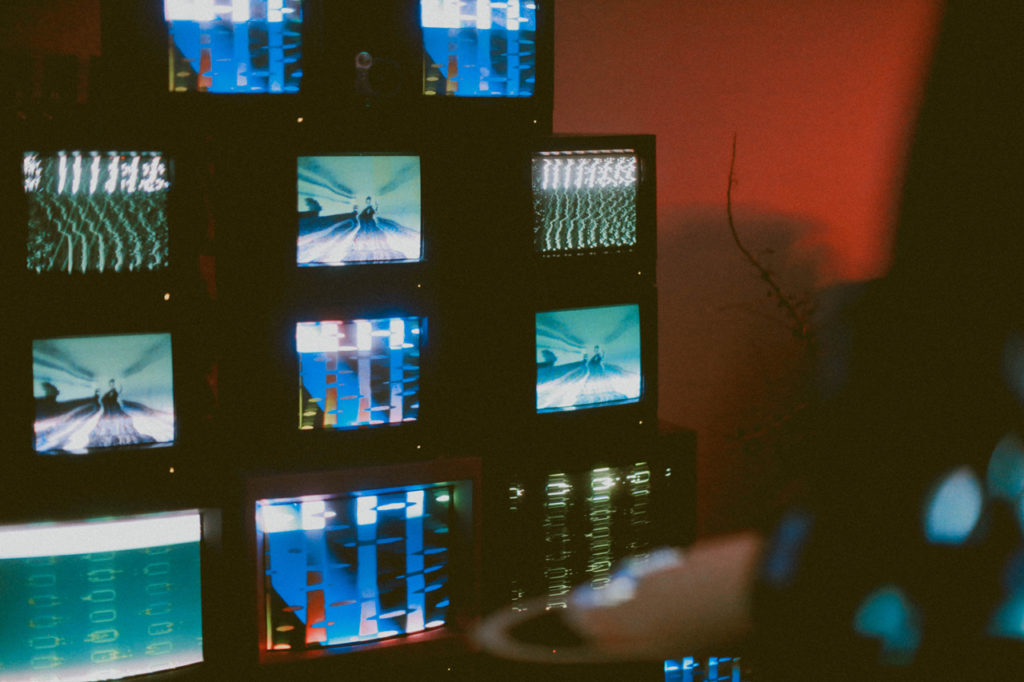 Moog’s cactus-powered synth and other highlights from its House of Electronicus