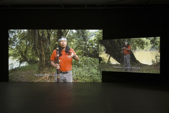 The World as Forest – a fabulously perceptive and captivating exhibition