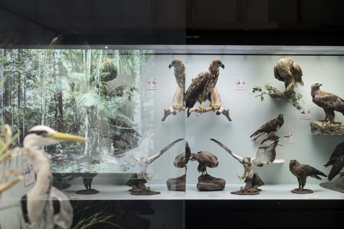 The World as Forest – a fabulously perceptive and captivating exhibition