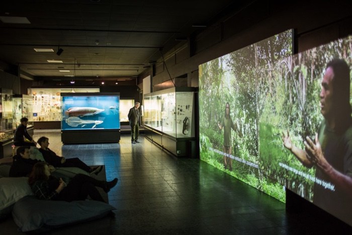 The World as Forest – a fabulously perceptive and captivating exhibition