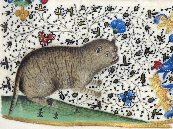 Check out Ugly Medieval Paintings of Cats, it looks like the medieval painters never laid eyes on a cat.
