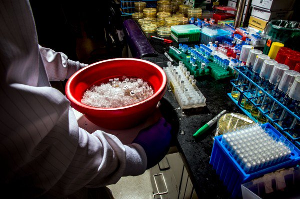 Biofuel. The scientist still fighting for the clean fuel the world forgot