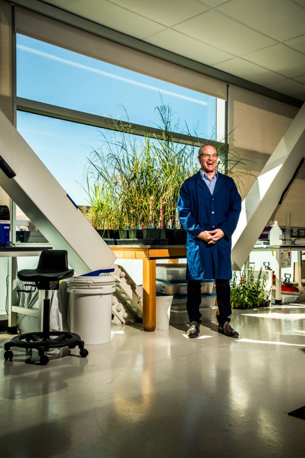 Biofuel. The scientist still fighting for the clean fuel the world forgot