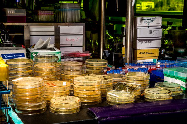 Biofuel. The scientist still fighting for the clean fuel the world forgot