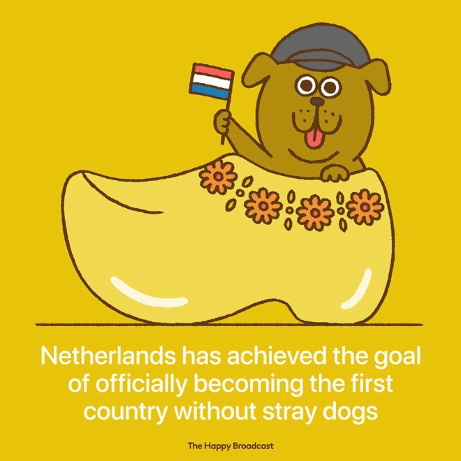 Tired of All The Bad News, Artist Illustrates The Best News of 2019