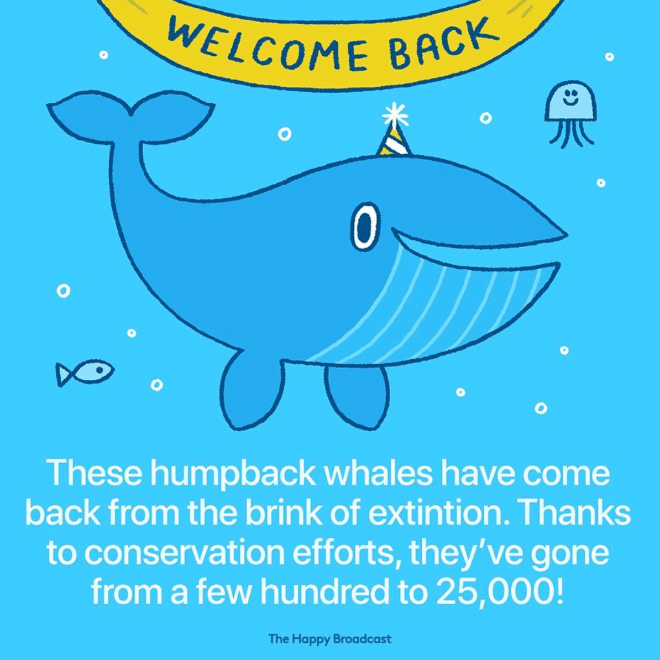Tired of All The Bad News, Artist Illustrates The Best News of 2019