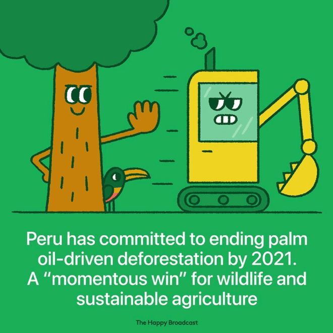 Tired of All The Bad News, Artist Illustrates The Best News of 2019