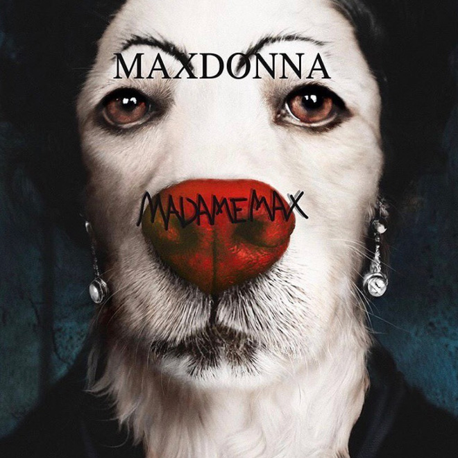 Maxdonna! Don’t Miss Madonna’s Inspired Iconic Photos With Photographer’s Dog