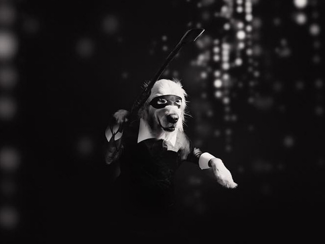 Maxdonna! Don’t Miss Madonna’s Inspired Iconic Photos With Photographer’s Dog