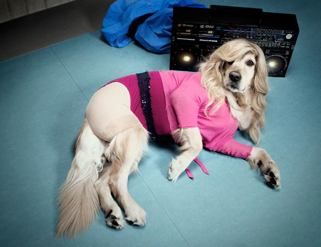 Maxdonna! Don’t Miss Madonna’s Inspired Iconic Photos With Photographer’s Dog