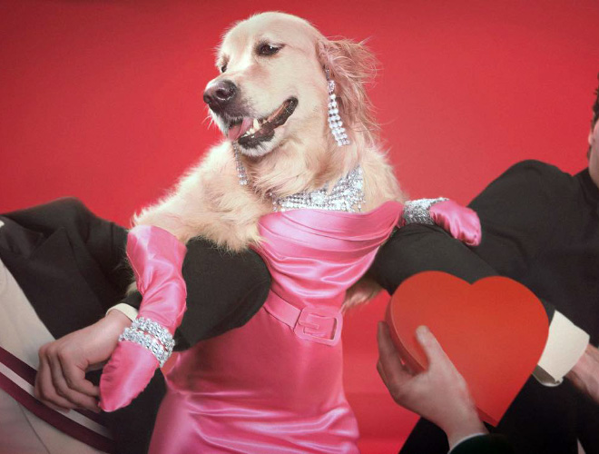 Maxdonna! Don’t Miss Madonna’s Inspired Iconic Photos With Photographer’s Dog