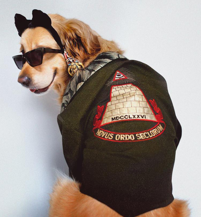 Maxdonna! Don’t Miss Madonna’s Inspired Iconic Photos With Photographer’s Dog