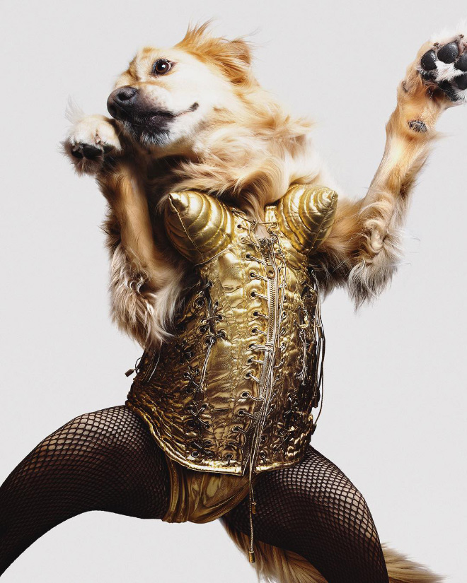 Maxdonna! Don’t Miss Madonna’s Inspired Iconic Photos With Photographer’s Dog