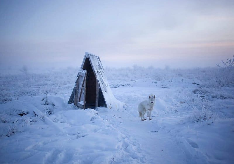 Surprising Cold Front: how they live in Oymyakon – one of the coldest inhabited places on Earth…