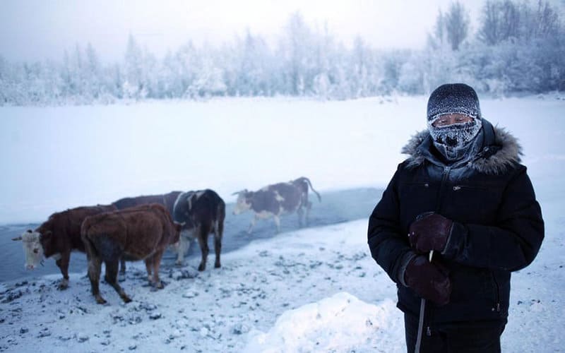 Surprising Cold Front: how they live in Oymyakon – one of the coldest inhabited places on Earth…