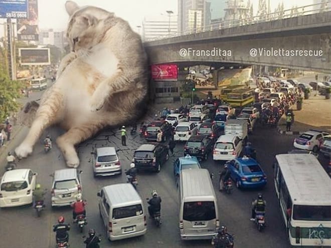Kings Catzillas by the Artist Fransdita Muafidin In Urban Landscapes