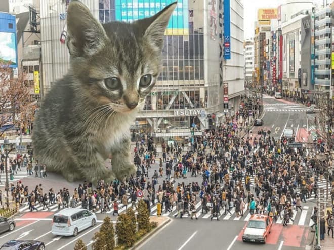 Kings Catzillas by the Artist Fransdita Muafidin In Urban Landscapes