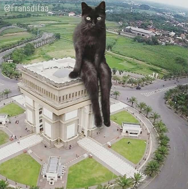 Kings Catzillas by the Artist Fransdita Muafidin In Urban Landscapes