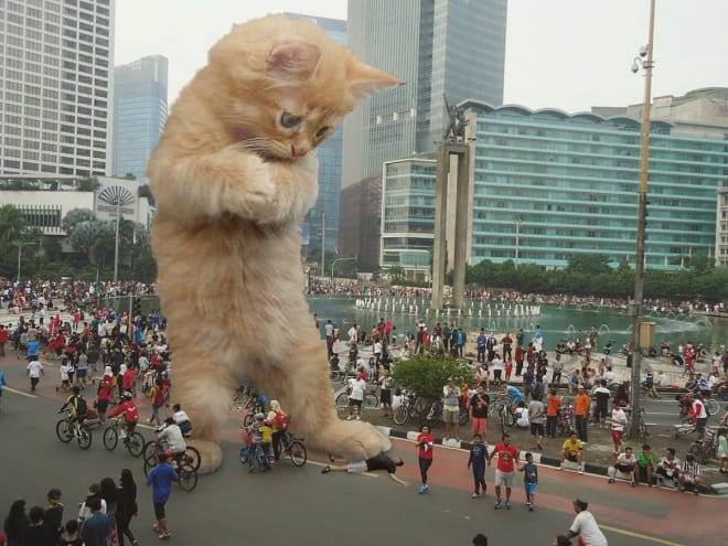 Kings Catzillas by the Artist Fransdita Muafidin In Urban Landscapes