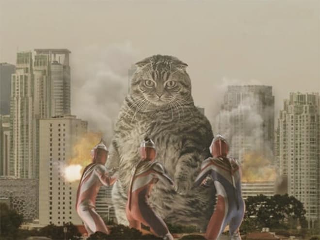 Kings Catzillas by the Artist Fransdita Muafidin In Urban Landscapes