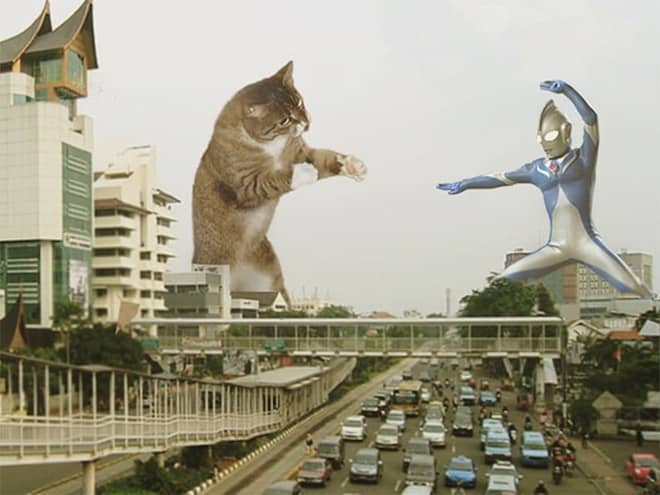 Kings Catzillas by the Artist Fransdita Muafidin In Urban Landscapes
