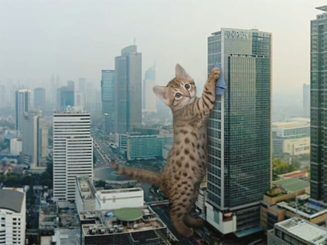 Kings Catzillas by the Artist Fransdita Muafidin In Urban Landscapes