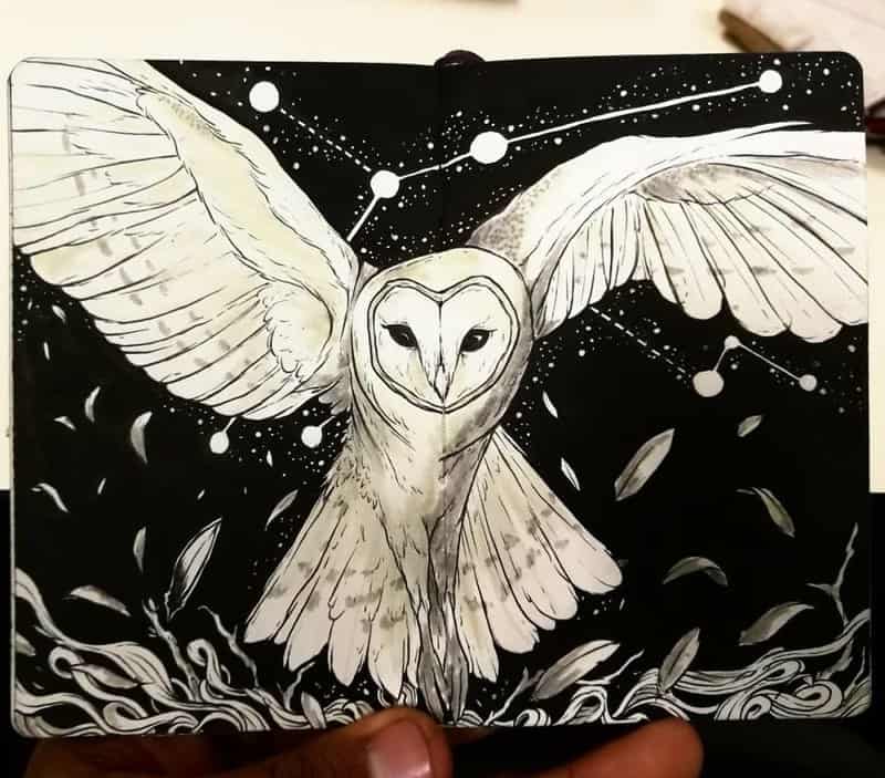 Magical Animal Illustrations Mixed With The Night Sky