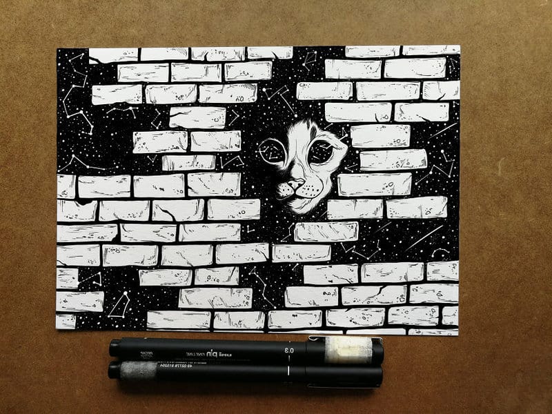 Magical Animal Illustrations Mixed With The Night Sky