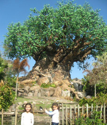 How To Truly Enjoy Walt Disney World® With Your PreSchooler ★ Elayna Fernandez ~ The Positive MOM ♥