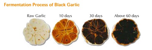 Aged Black Garlic Fight Flaky Skin and Improve Blood! A New Superfood at Your Table.
