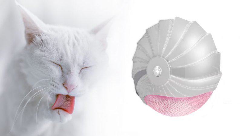 The Student Designed A Sensational Portable Cleaning Device That Replaces The Bath. It Really Looks Like A Cat’s Tongue