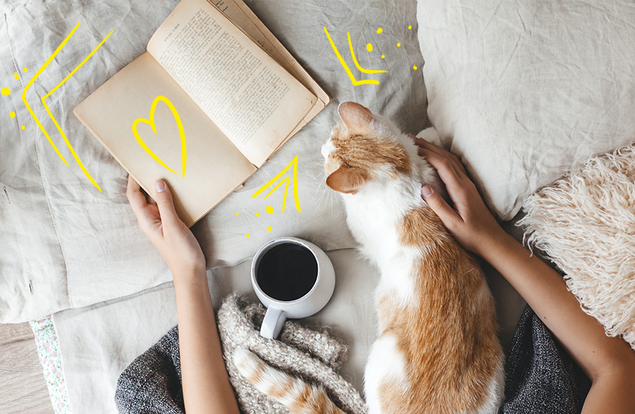 Why Do So Many People lie About Reading Classic Books
