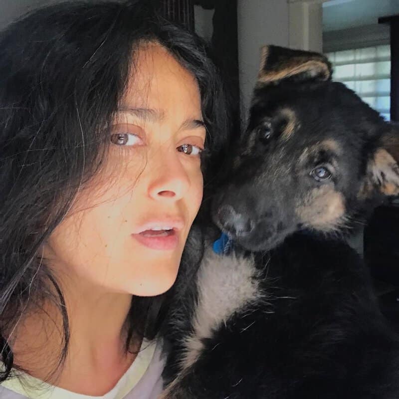 Top 10 Gorgeous Celebrities Selfie Without Makeup